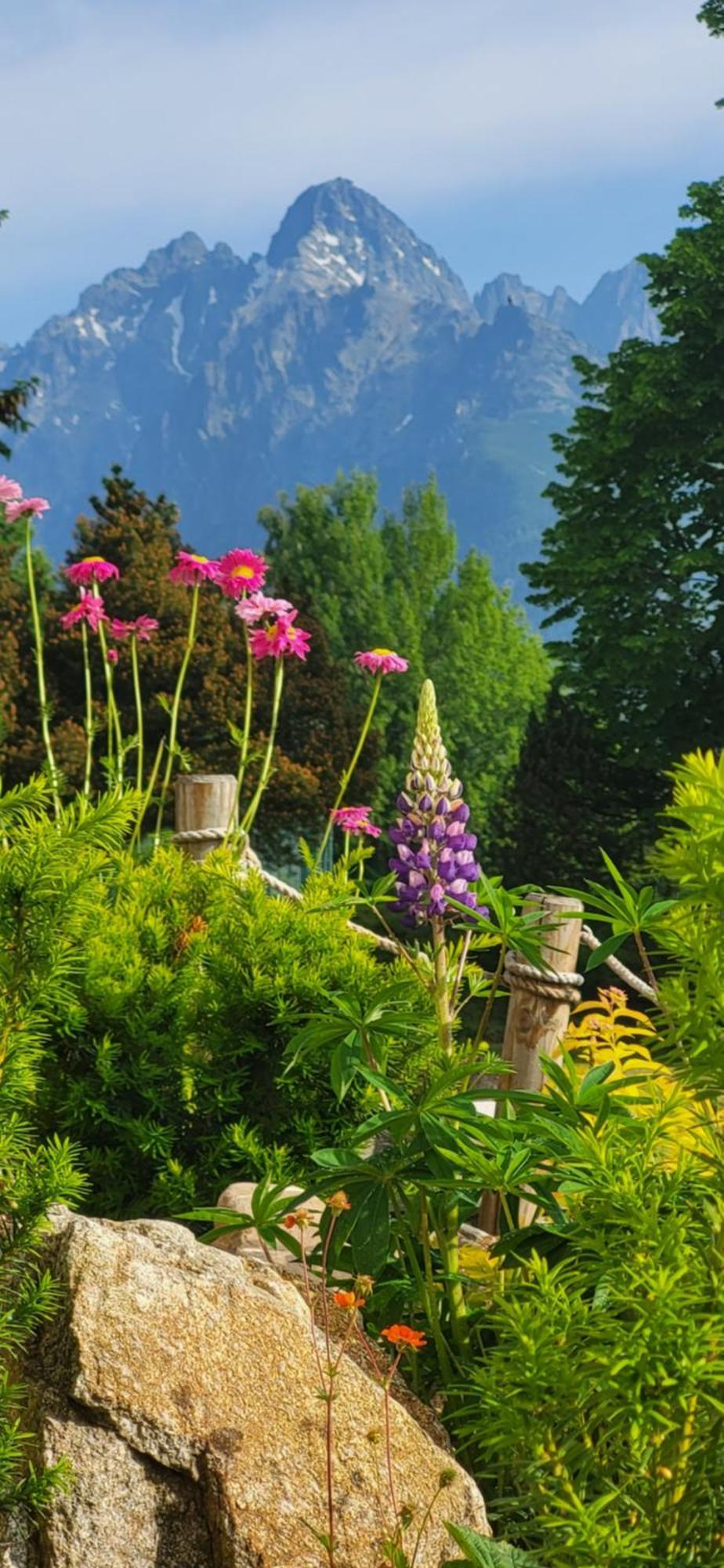 Vila Kollar Vysoke Tatry Ruang foto